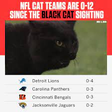 Instagram profile picture viewer profile photo dog and cat images face pictures profile pictures facebook image sizes deathwatch crop photo. Espn On Twitter The Mnf Cat Curse Is Real Since The Black Cat Sighting On November 4th The Nfl S Cat Teams Have Lost Every Game They Ve Played H T Reddit U Duval11 Https T Co Wqm6deoqcd