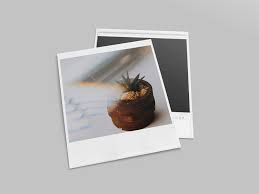 Realistic Polaroid Mockup Set 2 Instant Photos Freelance Graphic Design Photo