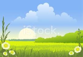 Juntop stampa hd foresta di grandi dimensioni soleggiato splendido scenario pittura su tela natura paesaggio stampa su tela poster murale 60x90 cm / 23,6x 35,4 senza cornice. Immagini Soleggiato Paesaggio Di Estate
