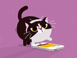 Giphy is a popular and reputable. How To Create Upload Branded Gifs To Instagram Stories Sociality Io