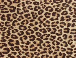 We did not find results for: Free Download Wallpapers Animal Print De Corazones 1920x1200 549109 Animal Print 1080x823 For Your Desktop Mobile Tablet Explore 45 Animal Print Wallpaper Leopard Print Background Wallpaper Leopard Print Wallpaper