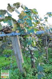 Epingle Sur Le Jardin Se Partage