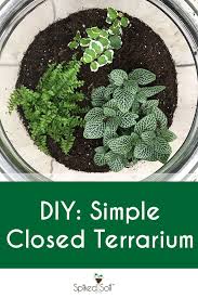 Spiked Soil Is Under Construction Closed Terrarium Plants Vertical Container Gardening Terrarium