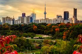 This software has only lost one trade in 4 years of 1478 trades. Us City Plans Slp Token And Canadian Platform Adds Bch In The Bitcoin Com Weekly Video The Weekly Bitcoin News