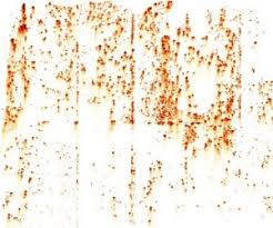 Ana sayfa » eviniz için » klozet ve lavabolardaki̇ sari leke pas lekesi̇ nasil geçer. Pas Lekesi Nasil Cikar Onikibilgi Com