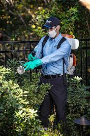 Ortho home defense max indoor insect barrier: Hometeam Pest Defense 179 East Burr Blvd Unit G Kearneysville Wv Pest Control Mapquest