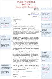 Next, you should showcase your relevant digital marketing experience and explain why you are applying. Digital Marketing Assistant Cover Letter Example Cv Plaza