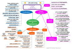 K to 12 learning module/material in science for grade 5 quarter 1 to quarter 4. 18 Natural Science Technology Grade 4 To 8 Ideas Life Science Science Science And Nature
