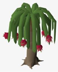 We did not find results for: Dragon Fruit Tree Osrs Hd Png Download Kindpng