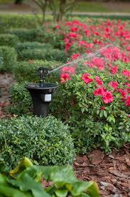 They still get squirrels and fruit rats now and then. Havahart Adds Spray Away Elite Ii Sprinkler Animal Repellent To Product Line Up