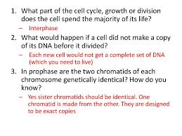 Begin with a single cell and watch as mitosis and cell division occurs. Ppt Review Powerpoint Presentation Free Download Id 2474592