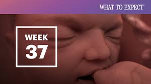 Only a few weeks left to go! 36 Weeks Pregnant What To Expect Your 36th Week Of Pregnancy Youtube