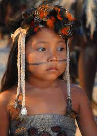 The most predominant language spoken by indigenous people is náhuatl, followed by maya, tzeltal, mixteco, tzotzil, zapoteco and otomí. Indigenous Peoples In Brazil Wikipedia