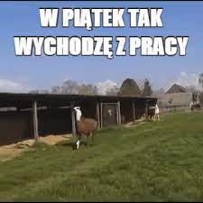 Zobacz słowa utworu piątek piąteczek piątunio wraz z teledyskiem i tłumaczeniem. Piatek Piateczek Piatunio Gif Piatek Saint Wykop Pl