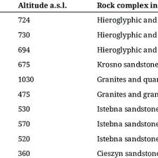 Image result for Rhipidoglossum globulosocalcaratum