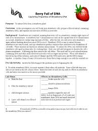 The worksheet is an assortment of 4 intriguing pursuits that will enhance your kid's knowledge and abilities. Strawberry Dna Lab And Analysis Questions Cell Biology Filtration