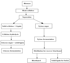 flow chart for the production of bio ethanol from