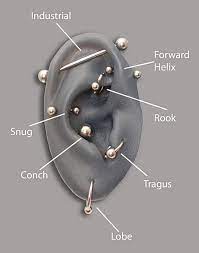 Ear Piercings Piercings Ear Piercings Tragus Piercings