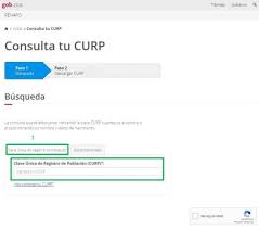 2 consultar curp a través de internet. Descargar La Curp Gratis En Pdf En 2021 Formato Original