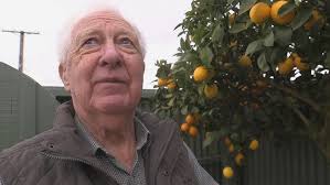 Good Sorts: Don Hellman of Blenheim