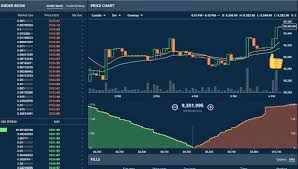 big chonis flux trading group