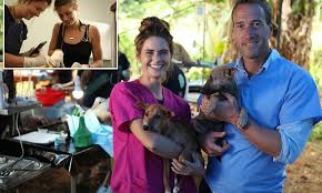 For a happy and healthy pet out here, visit a petvet clinic at tractor supply! Brit Revealed How She Became A Street Dog Vet In Sri Lanka After Breaking Up With Her Ex Boyfriend Daily Mail Online