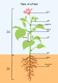 chemical reaction tree chart free chemical reaction tree