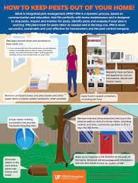 You might have spotted a rat in your garden or discovered a wasp nest in your hut. University Of Florida Promotes Hiring Pros For Pest Control Pest Management Professional