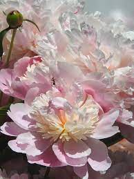 Pin On Images That Excite You Group Gallery