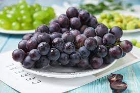 Ini dia 10 manfaat buah anggur hitam berdasarkan kandungan gizinya. Yunnan Anggur Hitam Musim Panas Gambar Unduh Gratis Imej 501370058 Format Jpg My Lovepik Com