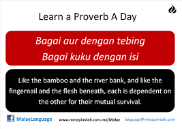 Maksud peribahasa bagai aur dengan tebing contoh ayat. Malay Proverb Bagai Aur Dengan Tebing Bagai Isi Dengan Kuku Merapi Indah