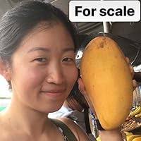 Until We Reckon: Violence, Mass Incarceration, and a Road to Repair by  Danielle Sered