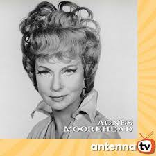 Nicholas Revitzer's Instagram, Twitter & Facebook