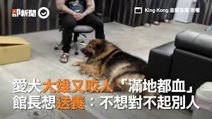 Manage your video collection and share your thoughts. Ettodayæ–°èžé›² æ„›çŠ¬å¤§é›„åˆå'¬äºº æ»¿åœ°éƒ½è¡€ é¤¨é•·æƒ³é€é¤Š ä¸æƒ³å°ä¸èµ·åˆ¥äºº Facebook