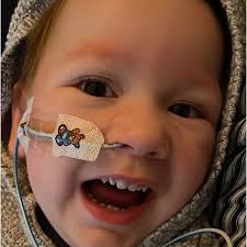 Arthur's Snowdon Army is fundraising for Tree of Hope