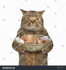 Sweet Dreams R Wtfstockphotos Stock Photography Know Your Meme ~i know you clicked because of the thumbnail~sort of cursed images, but not really. sweet dreams r wtfstockphotos stock