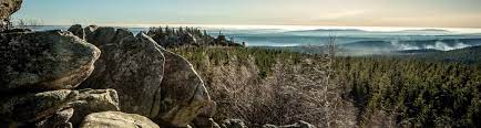 Der nationalpark harz liegt in einer der faszinierendsten mittelgebirgslandschaften europas. Nationalpark Harz Nationalpark Harz