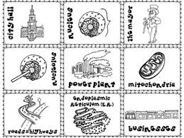 Check spelling or type a new query. Cell Organelles Memory Matching Game City Analogy Structure And Function