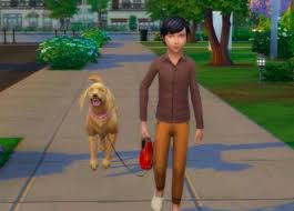 So, which states allow for raccoon domestication? Best Sims 4 Cats Dogs Mods For Your Pets 2021