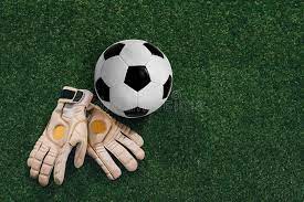 Find fingersave gloves like the reusch ortho tec and much more at soccerpro.com. 1 120 Goalkeeper Gloves Photos Free Royalty Free Stock Photos From Dreamstime
