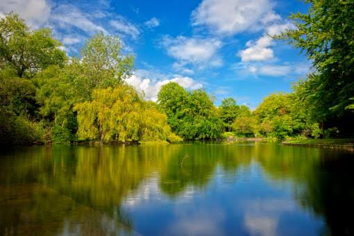 Summer Landscapes - 303 Free Stock Photos - Image Collection by Stockvault.net