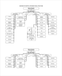 Sample Organizational Chart 52 Examples In Pdf Ppt Word