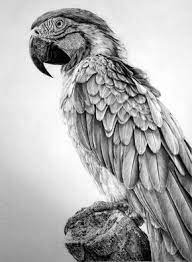 Realistic pencil drawings of wild life from different artist all. 40 Realistic Animal Pencil Drawings Pencil Drawings Of Animals Realistic Drawings Pencil Portrait Drawing