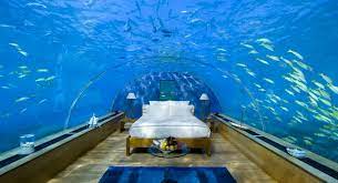 The poseidon resort in fiji. Poseidon Resorts Underwater Hotel In Fiji Video