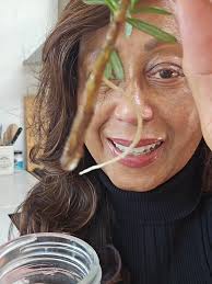 Grow and Care for Rosemary Plants in Spring