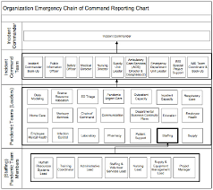 Organization Chain Of Command Emergency Reporting Chart