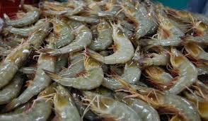 Resep udang goreng bawang khas bali. Udang Rempah Haji Halim