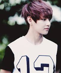 Résultat de recherche d'images pour "v bts"