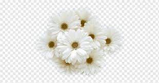 Maybe you would like to learn more about one of these? Flower Bouquet White Wedding Dress Cut Flowers Flower White Wedding Lilium Png Pngwing