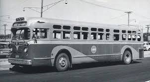 Image result for Brown 1980 Evans Coach Lines